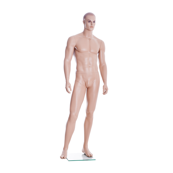 Full Body Hairless Male Mannequin